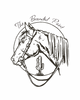 The Branded Paint - Home